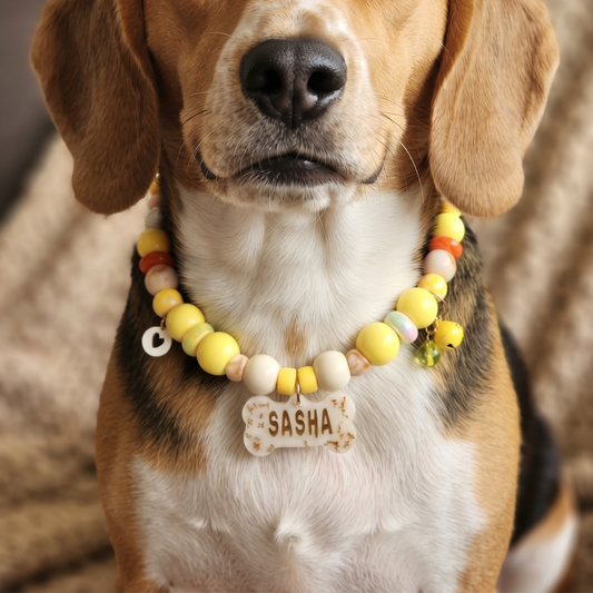 Lemon Drop Personalized Beaded Dog Collar with Custom Name Tag