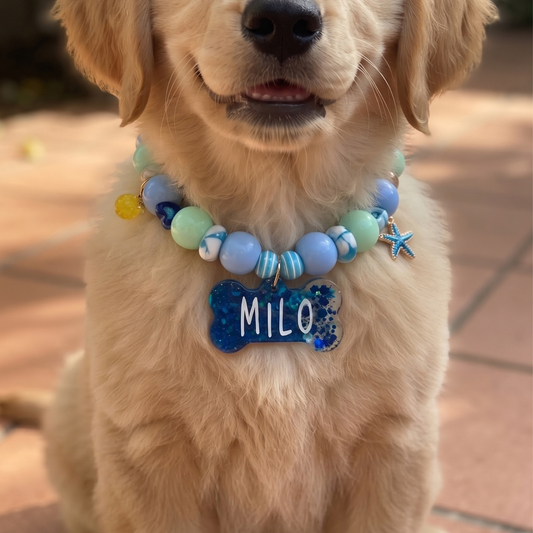 Blue Mint Personalized Beaded Dog Collar, Glitter Bone Tag (Custom Name & Phone)