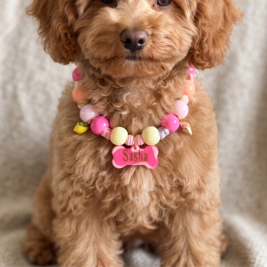 Pink Promese Personalized Beaded Dog Collar, Bone Tag (Pet Name & Phone)